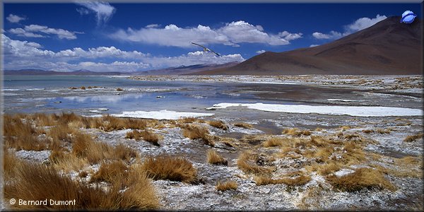 Laguna Grande de Chalviri