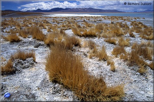 Laguna Grande de Chalviri