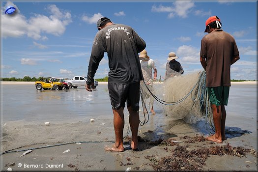 Nets full of fishes, crabs, jellyfishes and shrimps