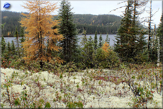 Grands-Jardins National Park, Château-Beaumont camp