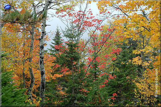 Saguenay National Park