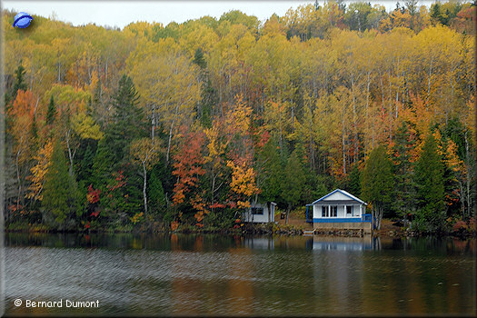 Between Tadoussac and La Malbaie