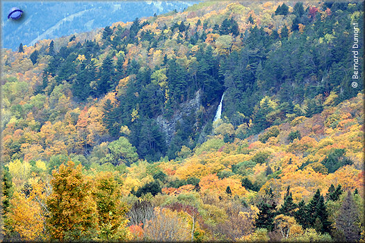 Cap Tourmente National Wildlife Area