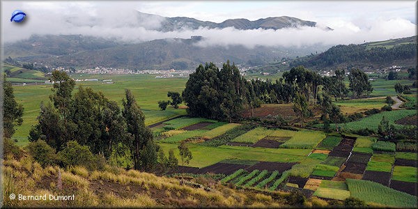 Between Riobamba and Guamote