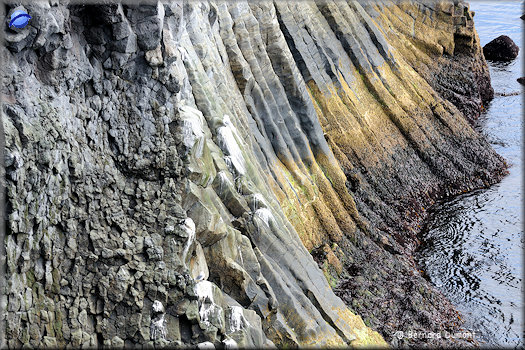Snæfellsjökull national park, coast near Hellnar