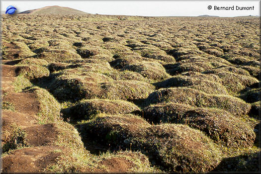 Thufur (turfed hillocks)
