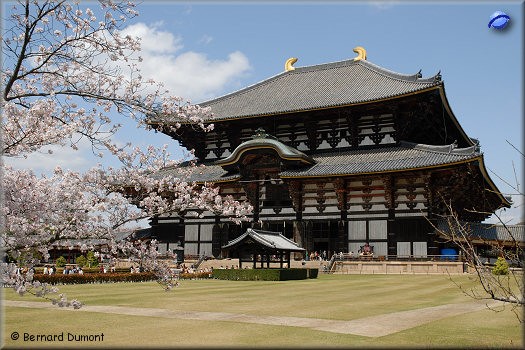 Nara, Todai temple (Todai-ji), the biggest wooden building in the world