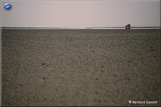 Mirages on the plateau in the north of Murzuq sand sea