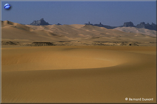 Saharan colors palette