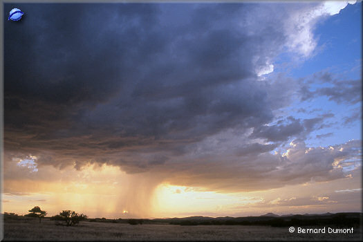 Rain at dusk