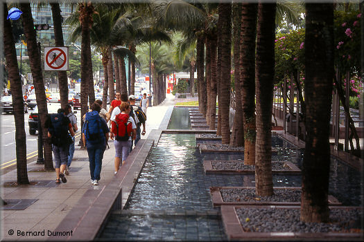 Singapore : shady sidewalk