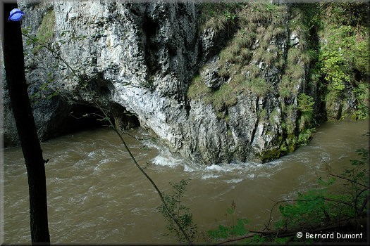 Slovak Paradise national park : Hornád river canyon