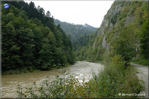 Pieniny park : Dunajec river, border between Poland and Slovakia