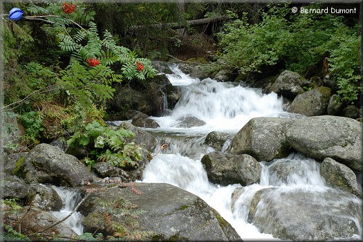 High Tatras : torrent