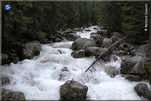 High Tatras : torrent