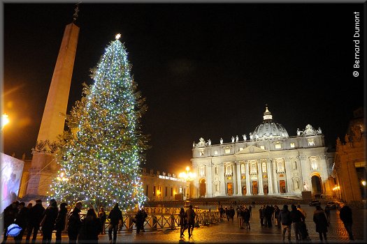 St. Peter's Square, Christmas Tree and illuminated basilica