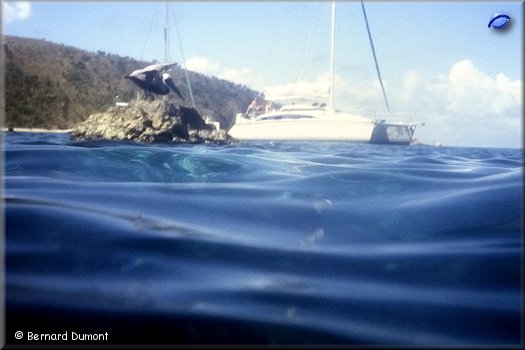 Norman Island, almost underwater view