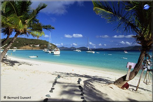 Jost Van Dyke, White Bay