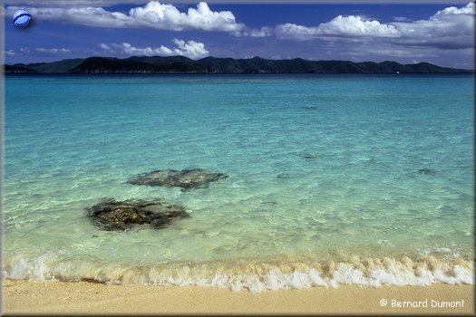 Jost Van Dyke, White Bay