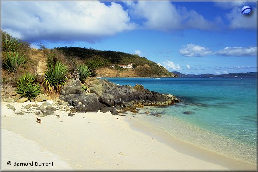 Jost Van Dyke, White Bay