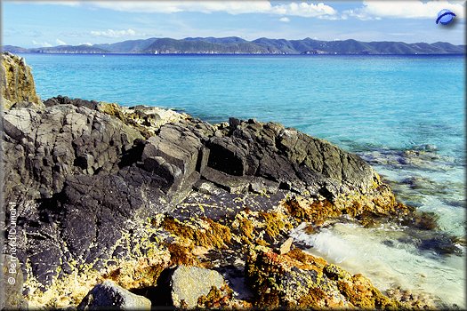 Jost Van Dyke, White Bay