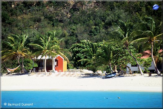 Jost Van Dyke, White Bay
