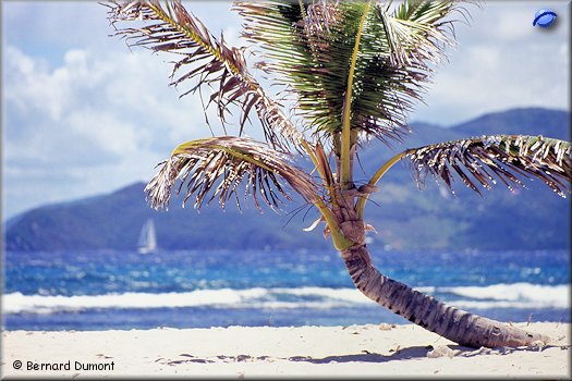 Sandy Spit