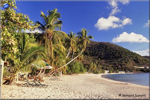 Tortola, Cane Garden Bay