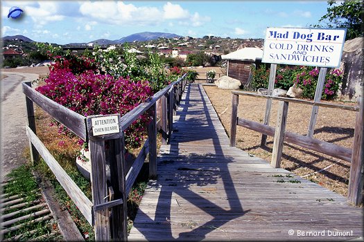 Virgin Gorda, bar on the hill of Spring Bay