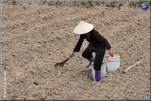 Fertilizer spreading