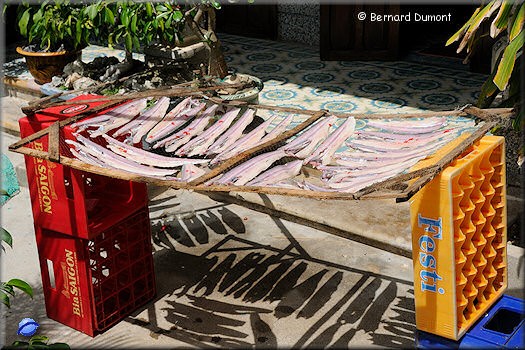 Khải Lương, spiced fishes drying