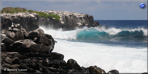 (Española, Punta Suárez) Cliffs